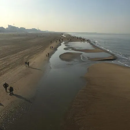 Bries - Scheveningen Hotell Haag