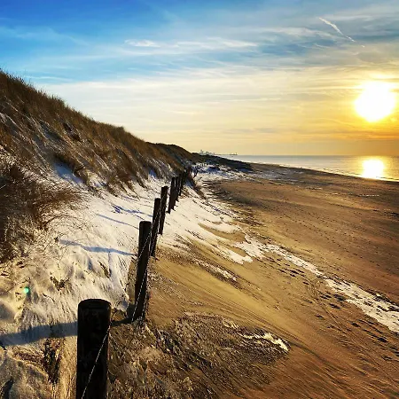 Bries - Scheveningen