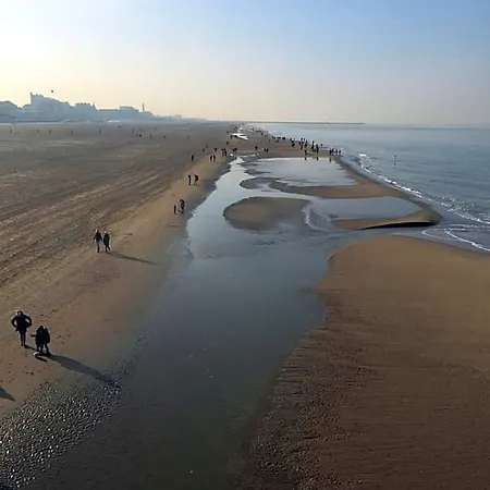 Bries - Scheveningen فندق 3*