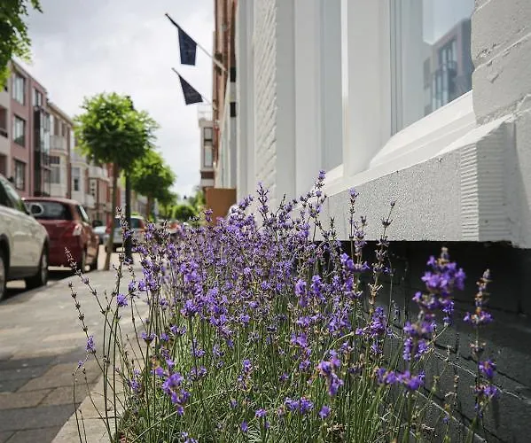 Bries - Scheveningen Hotell