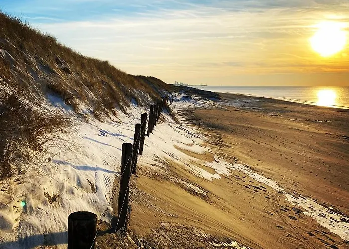 Bries - Scheveningen