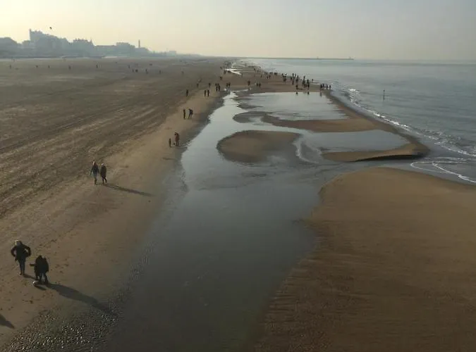 Bries - Scheveningen Hotel Haia