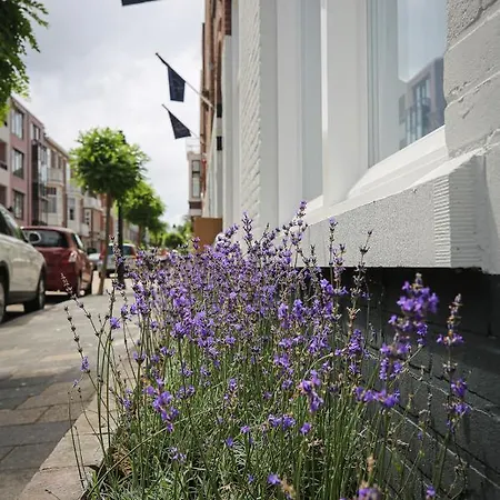 Bries - Scheveningen Hotel