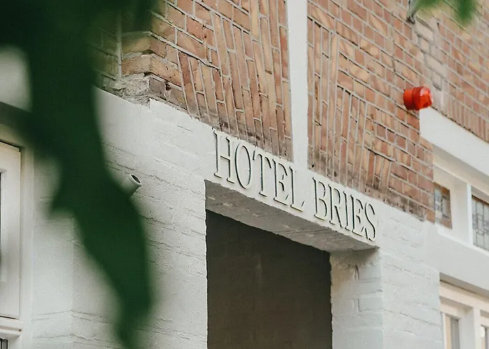 Bries - Scheveningen Hotel